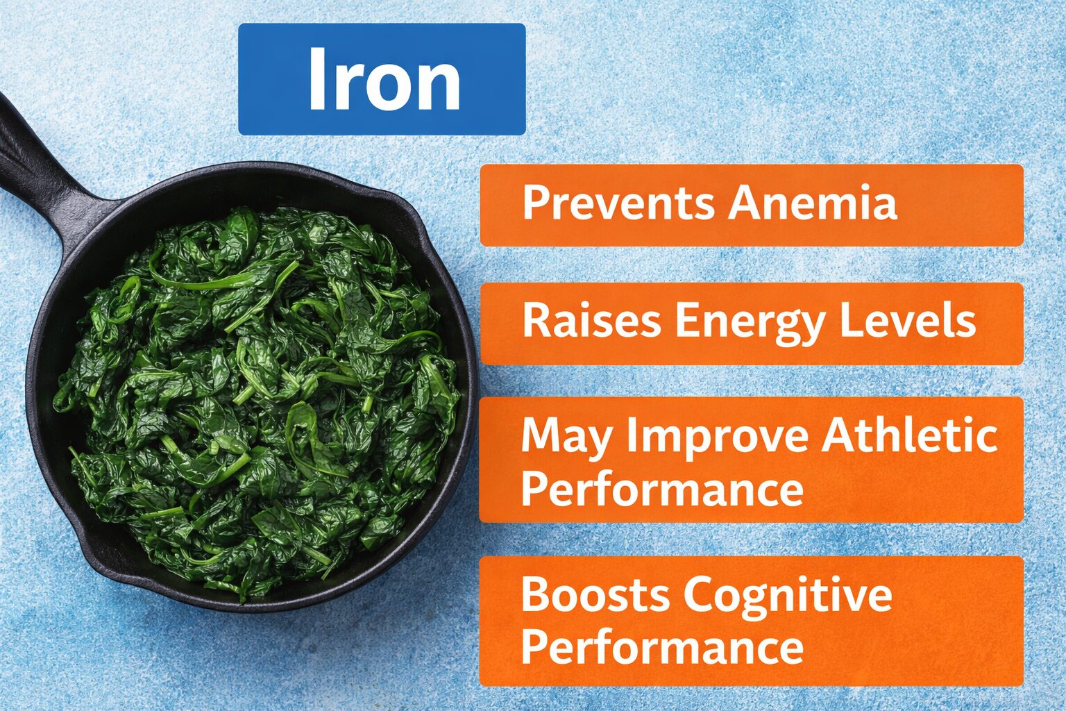 Iron in the Body